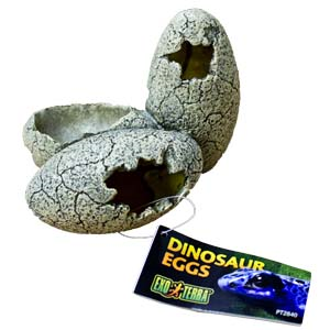 Exo-Terra-Dinosaur-Eggs-Hideout-amp-Water-Dish-(PT2840)
