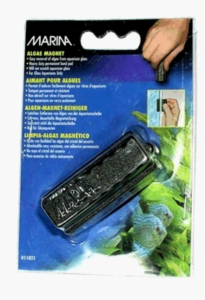 Marina-Algae-Magnet-Small-(11021)