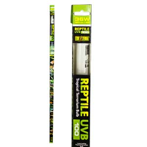 Exo-Terra--Tropical-Light-UVB10-36W-120cm-(PT2389)