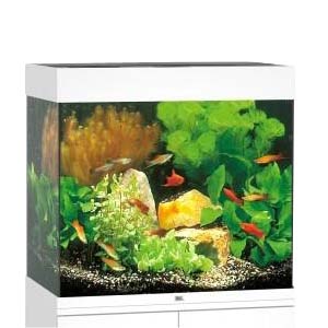 Juwel-Lido-120-LED-Aquarium-White-(JW11453)