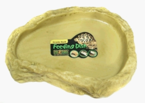 Exo-Terra-Medium-Feeding-Dish-(PT2811)