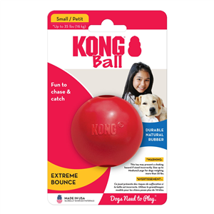 KONG-Ball-with-Hole-Small-(KB2)