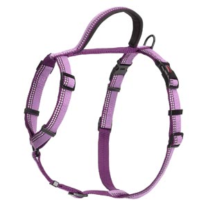Halti-Walking-Harness-Extra-Small-Purple-35cm-48cm-(DHW005M)