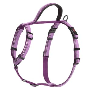 Halti-Walking-Harness-Small-Purple-43cm-60cm-(DHW015M)