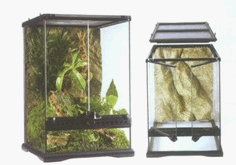 Exo-Terra-Glass-Terrarium-30-x-30-x-45cm-(PT2602)