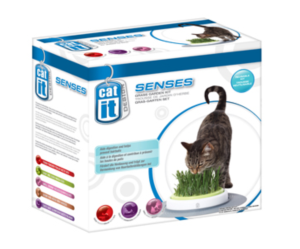 Catit-Design-Senses-Grass-Garden-Kit-(50755)