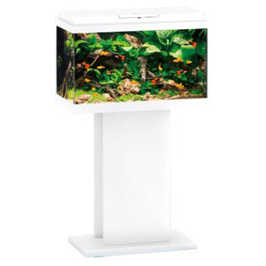 Juwel-Primo-Stand-White-61x63x31cm-(JW60440)