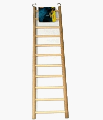 LW-Wooden-Ladder-11-Step-(81504)
