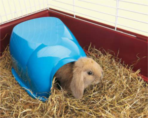 Savic-Cocoon-Small-Animal-Hutt-34x26.5x16cm-Asst-Colours-(SAV185)