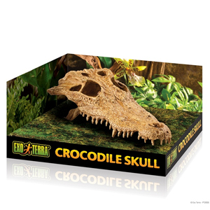 Exo-Terra-Decor---Crocodile-Skull-(PT2856)