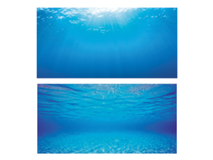 Juwel-Poster-2-XL-150x60cm-(JW86272)