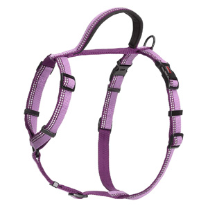 Halti-Walking-Harness-Large-Purple-68cm-100cm-(DHW035M)