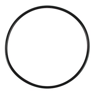 Fluval-307/407-Motor-Seal-Ring-(A20064)