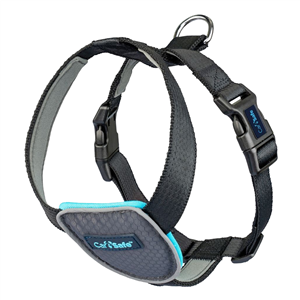 CarSafe-Crash-Tested-Dog-Harness-Blue-Large-(29360A)