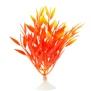 Marina-Betta-Fire-Grass-12.7cm-(12094)