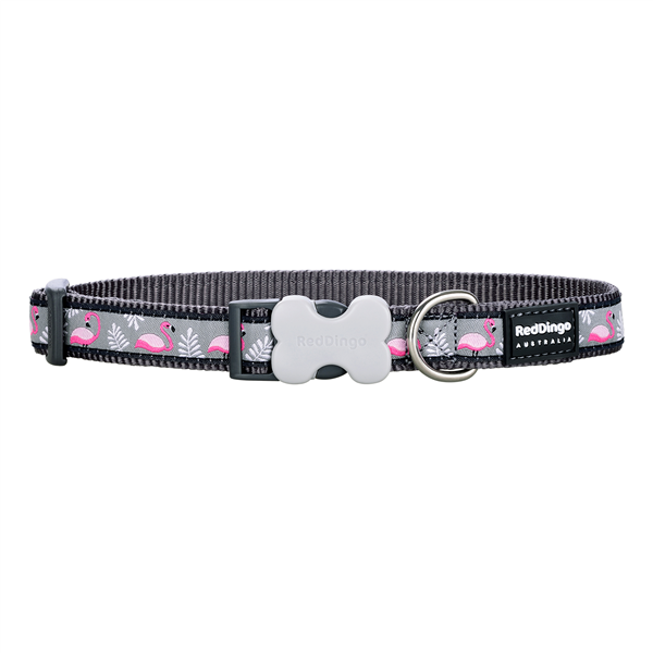 Red Dingo Dog Collar Flamingo Cool Grey Small 12mm x 2032cm